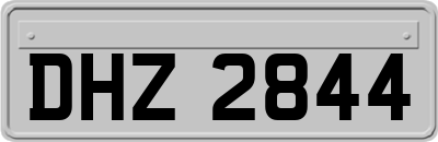 DHZ2844