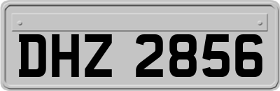 DHZ2856