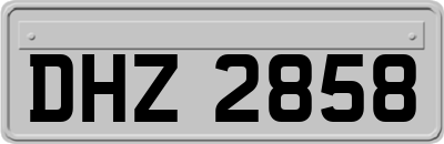 DHZ2858