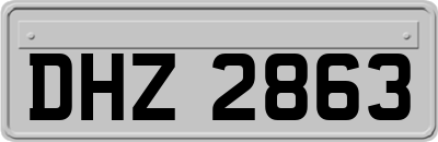 DHZ2863