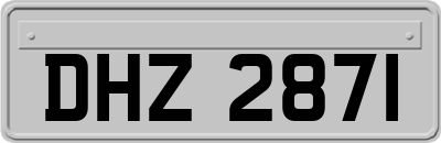 DHZ2871