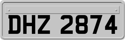 DHZ2874
