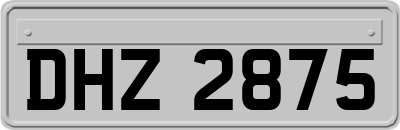 DHZ2875