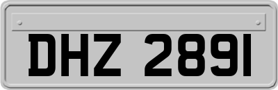 DHZ2891