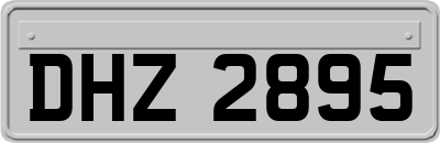 DHZ2895