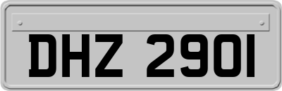 DHZ2901