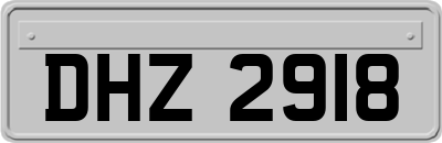 DHZ2918