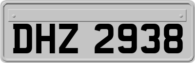DHZ2938