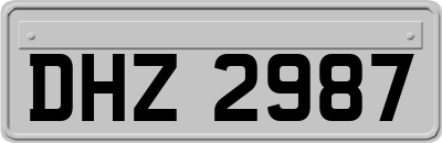 DHZ2987