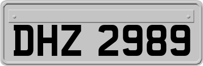 DHZ2989