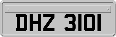 DHZ3101