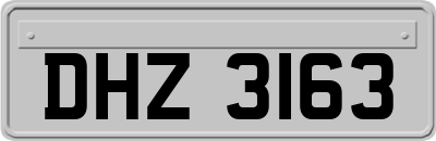 DHZ3163