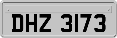 DHZ3173