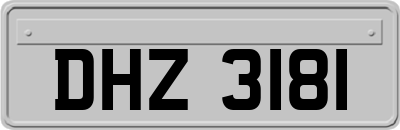 DHZ3181