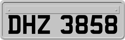 DHZ3858