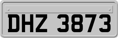 DHZ3873