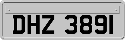 DHZ3891