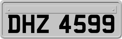 DHZ4599