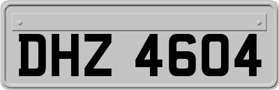 DHZ4604