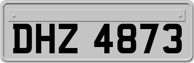DHZ4873