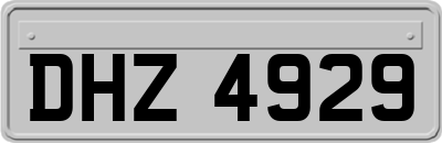 DHZ4929