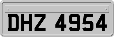 DHZ4954