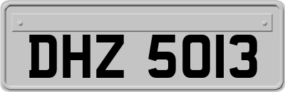 DHZ5013