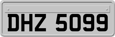 DHZ5099