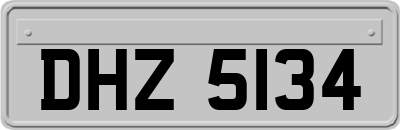 DHZ5134