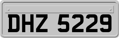 DHZ5229