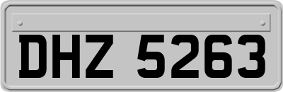 DHZ5263