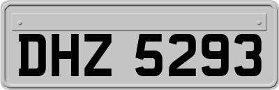 DHZ5293