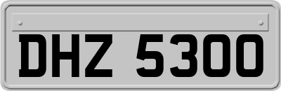 DHZ5300