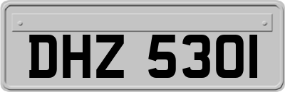 DHZ5301