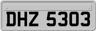 DHZ5303