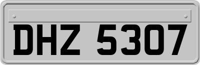DHZ5307