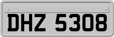 DHZ5308