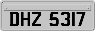 DHZ5317