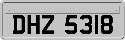 DHZ5318
