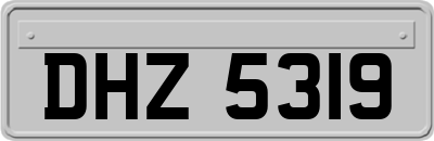 DHZ5319