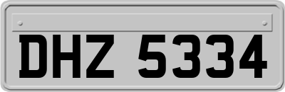 DHZ5334