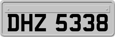 DHZ5338