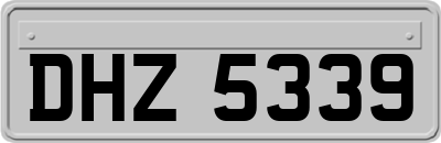 DHZ5339