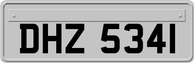 DHZ5341