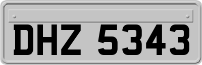 DHZ5343