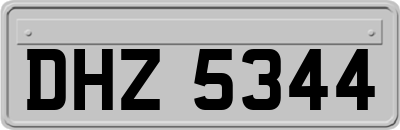 DHZ5344