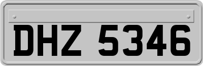 DHZ5346