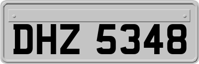 DHZ5348