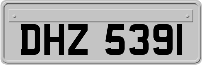 DHZ5391