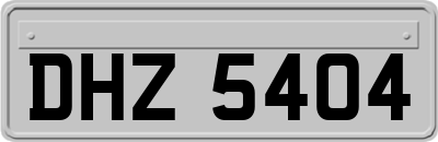 DHZ5404